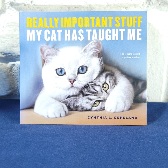 Really Important Stuff My Cat Taught Me - Picture 1 of 5